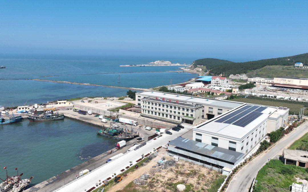 尊龙凯时人生就是搏 -首页官网